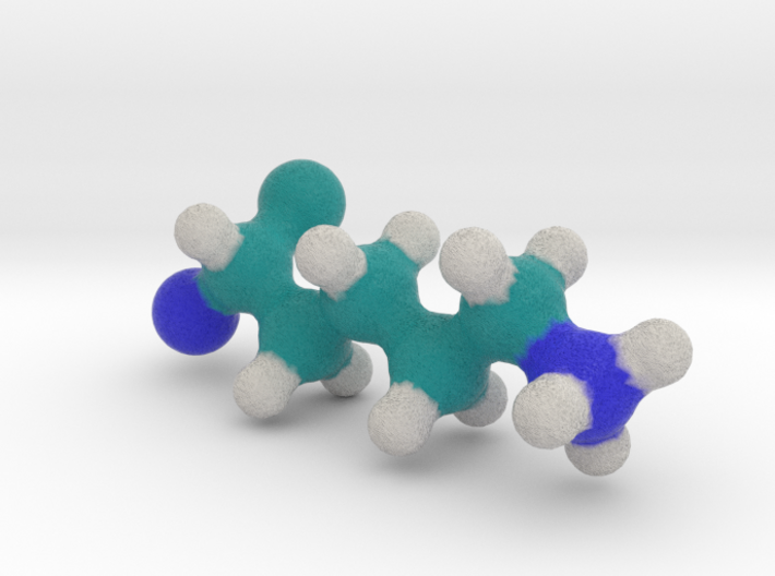 Amino Acid: Lysine 3d printed