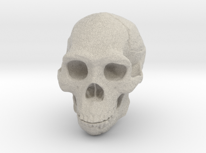 Lanyard : Real Skull (Homo erectus) 3d printed