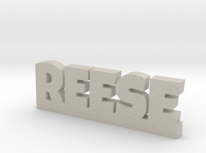 REESE Lucky 3d printed