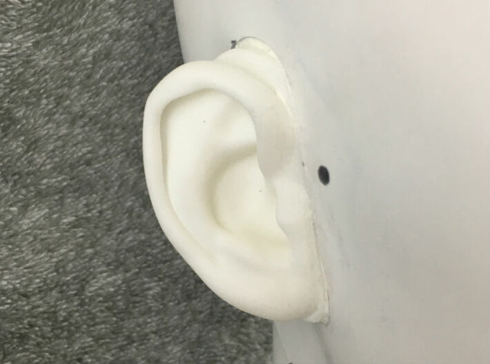 DIY Binaural Ear + Canal Anatomically Accurate - R 3d printed Anatomically Accurate Ear + Canal Model Detail