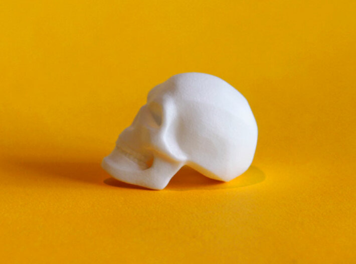 3D Printed Skull - Large 3d printed 