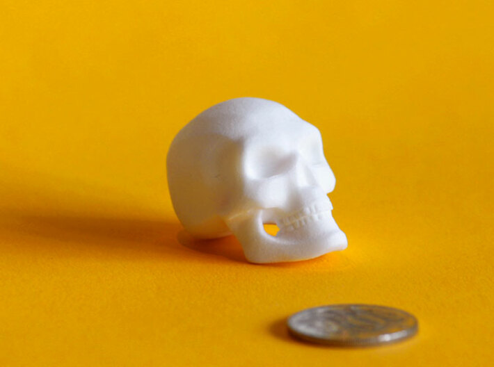 3D Printed Skull - Large 3d printed Next to an Australian 10cent piece to show the approximate size of the Skull
