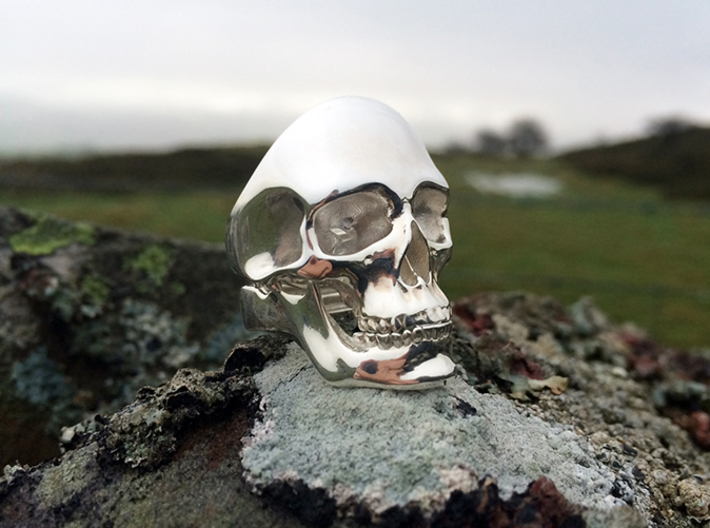 Skull Ring 3d printed Skull and Jaw rings in polished silver, size 10