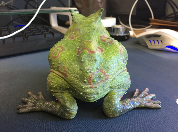 Beelzebufo (small size / middle size-color)  3d printed 