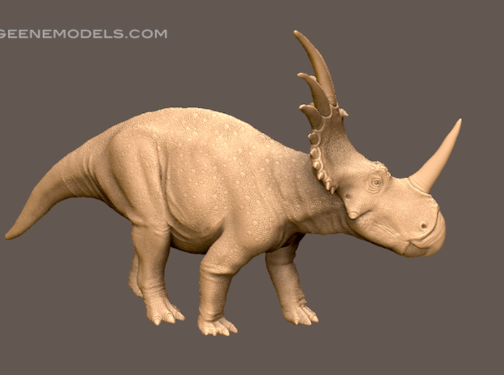 Styracosaurus 1:35 v1 3d printed