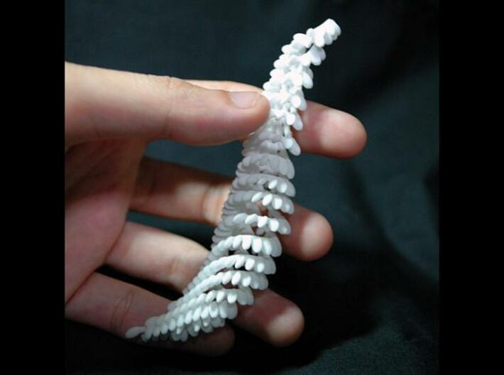 Chilli 3d printed Chilli model in Strong, White & Flexible material.