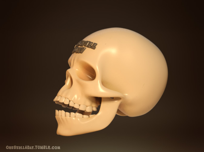 One Skull 3d printed 