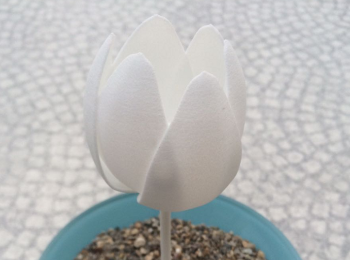 Tulip 3d printed