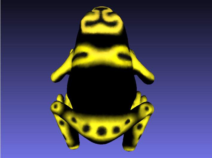 Bumblebee Poison Dart Frog 3d printed 