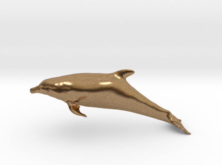Bottlenose Dolphin (Turiops truncatus) 3d printed