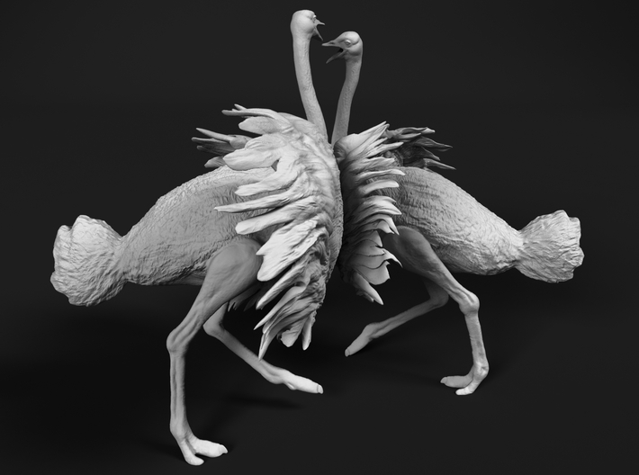 Ostrich 1:20 Fighting Pair 3d printed 