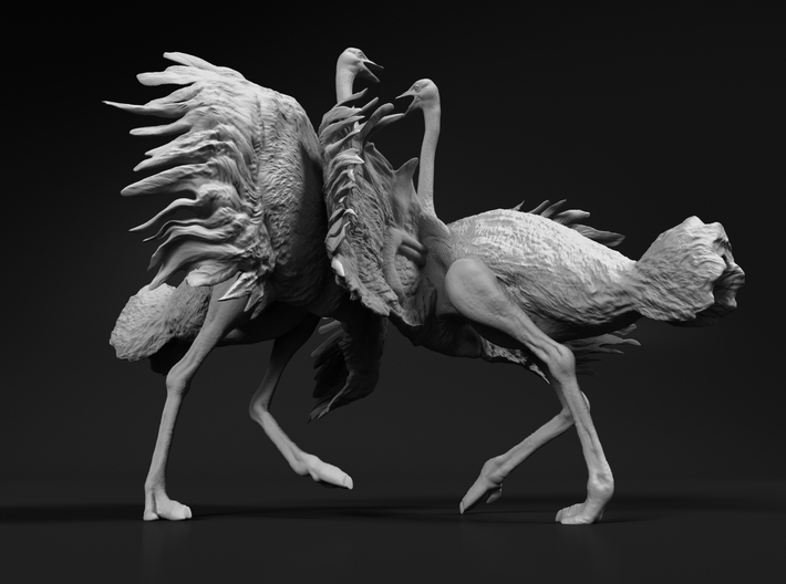 Ostrich 1:64 Fighting Pair 3d printed 