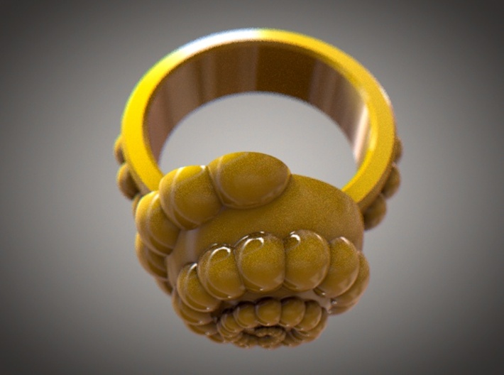 Golden Ratio Spiral Ring 3d printed 
