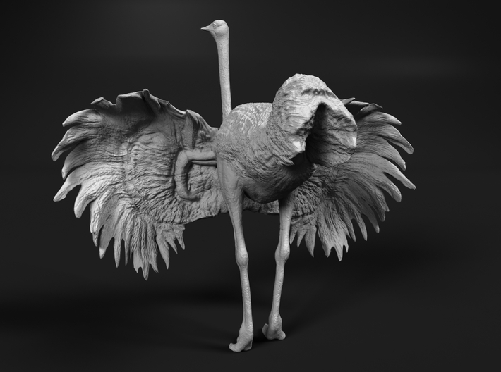 Ostrich 1:22 Wings Spread 3d printed 