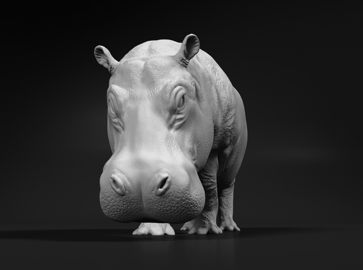 Hippopotamus 1:72 Walking Female 3d printed 