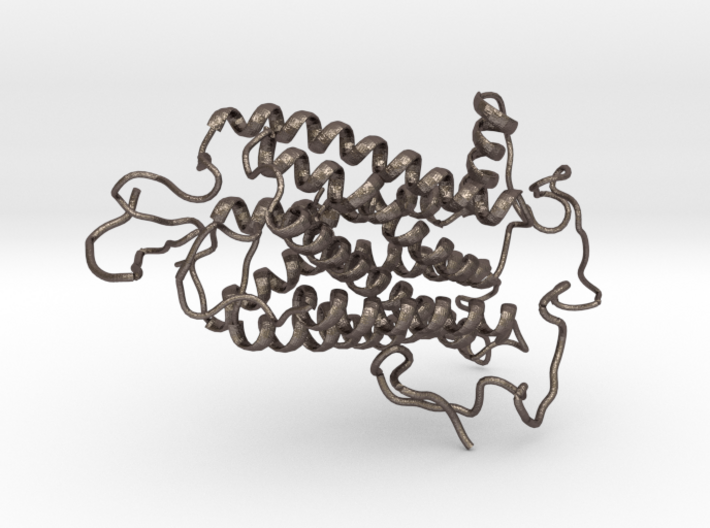 Encephalopsin Protein 3d printed