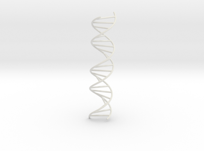 DNA Molecule Model. Several Sizes. 3d printed