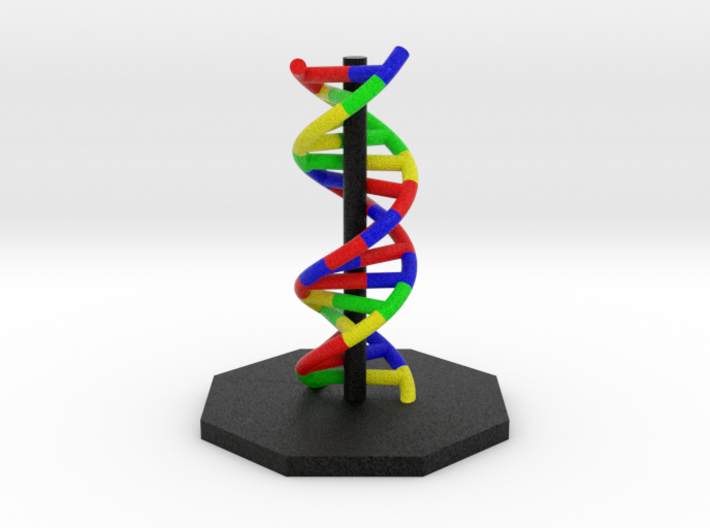 DNA Helix Molecule Model 3d printed