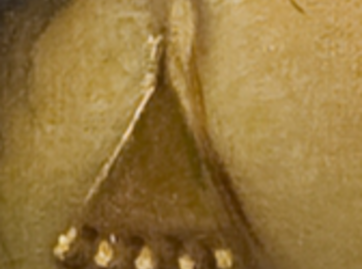 Elisabeth Jerichau Baumann, Fellah Woman's Earring 3d printed 