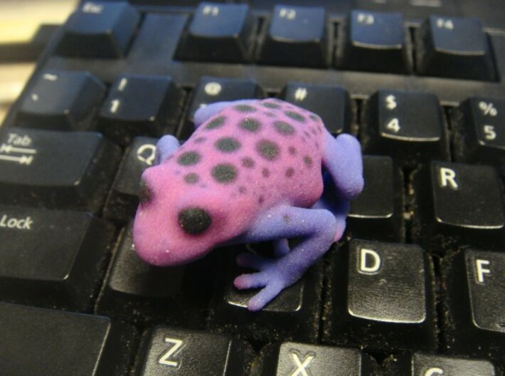 Purple Poison Dart Frog 3d printed