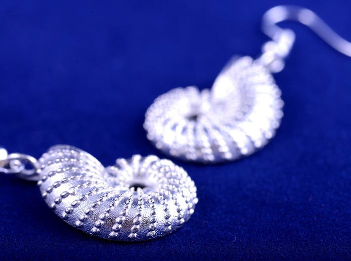 Nautilus Shell Earrings 3d printed detail of surface texture