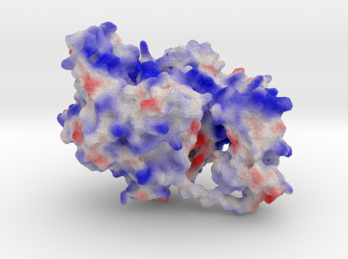 Mitochondrial RNA Polymerase 3d printed