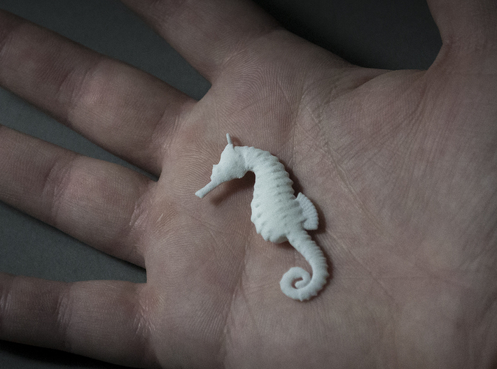 Seahorse 3d printed 