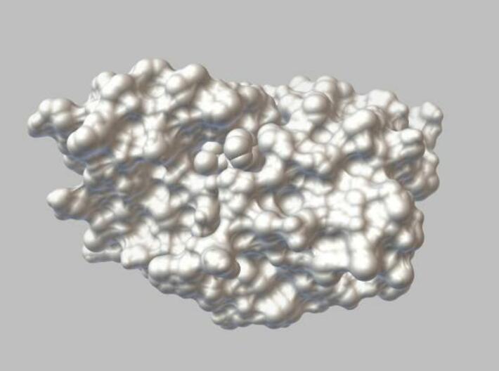 HIV Protease - Molecular Surface 3d printed Description