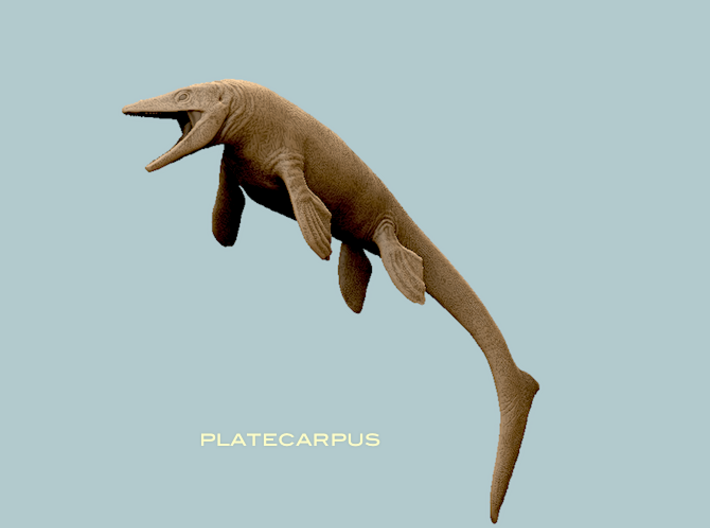 Mosasaur Platecarpus 1:12 scale v1  3d printed 