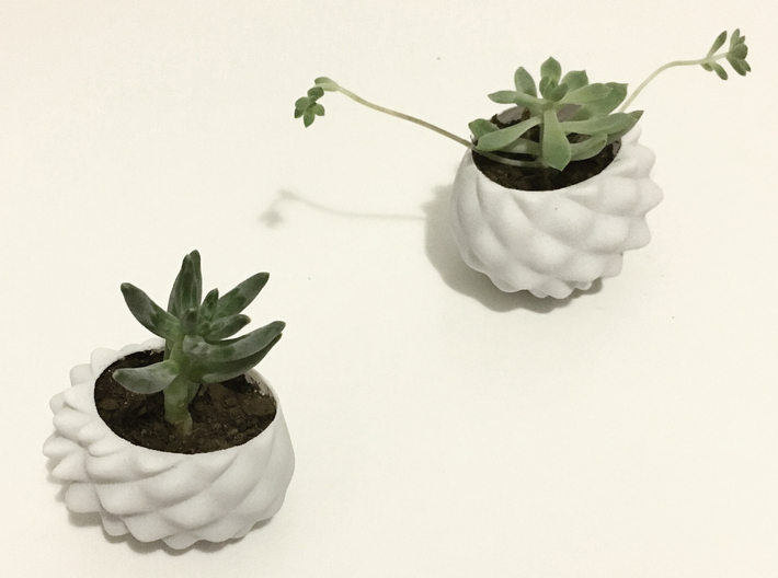 Bumpy Succulent Planter - Small 3d printed 'bumpy' planter - small & medium versions