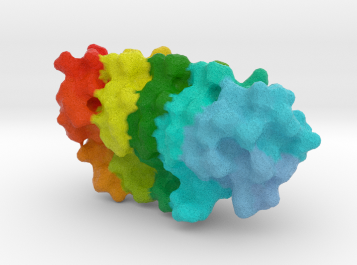 Ankyrin Adaptor Protein 3d printed