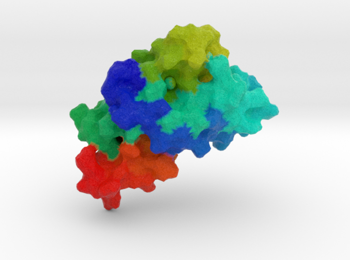 Human Prion Protein 3d printed