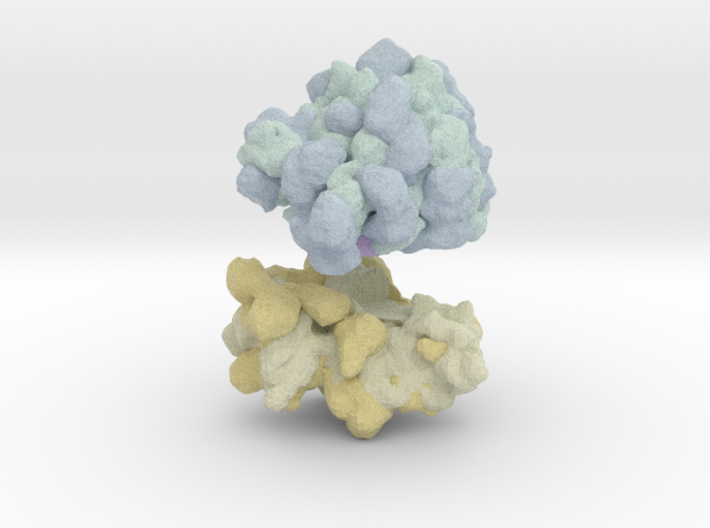 Ribosome Magnet 3d printed