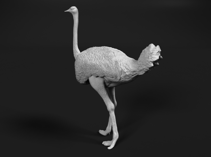 Ostrich 1:87 Standing Calm 3d printed 