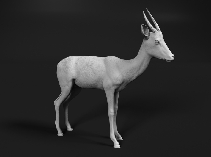miniNature's 3D printing animals - Update May 20: Finally Hyenas and more - Page 2 710x528_19650290_11383141_1501013731