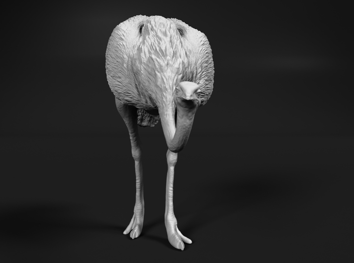Ostrich 1:87 Head Down 3d printed 