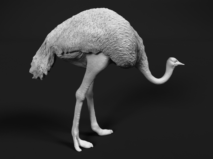 Ostrich 1:76 Head Down 3d printed 