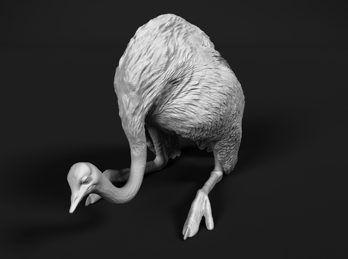 Ostrich 1:20 Guarding the Nest 3d printed