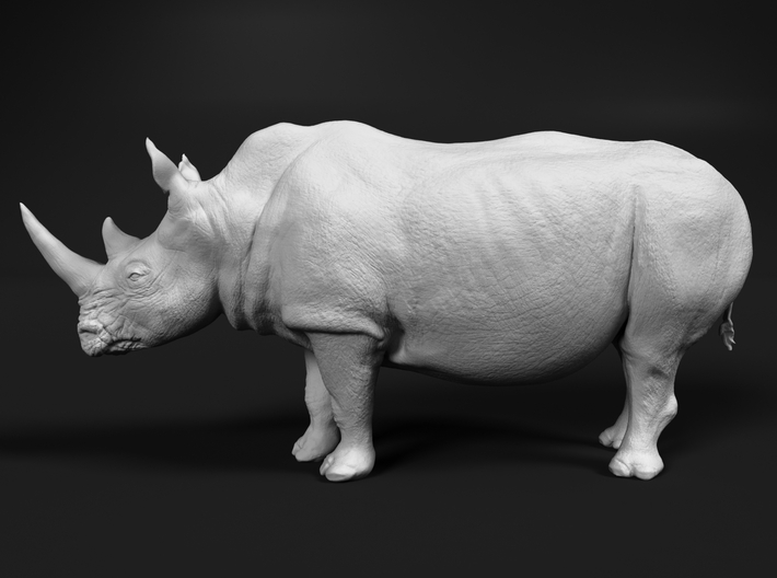 White Rhinoceros 1:48 Walking Male 3d printed 