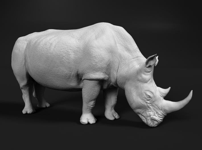 White Rhinoceros 1:45 Grazing Female 3d printed