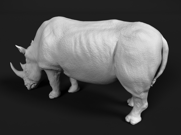White Rhinoceros 1:76 Grazing Female 3d printed 