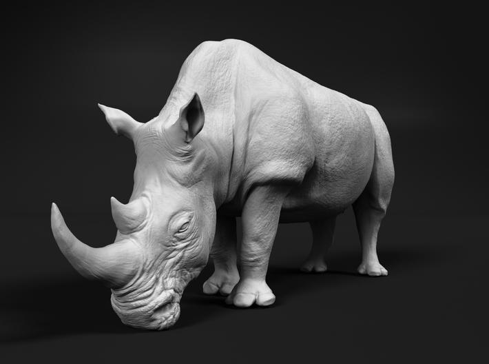 White Rhinoceros 1:160 Grazing Female 3d printed 