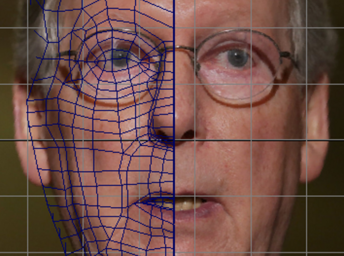 Small- Sen. Mitch McConnell (R-Ky.) Turtle Inactio 3d printed 