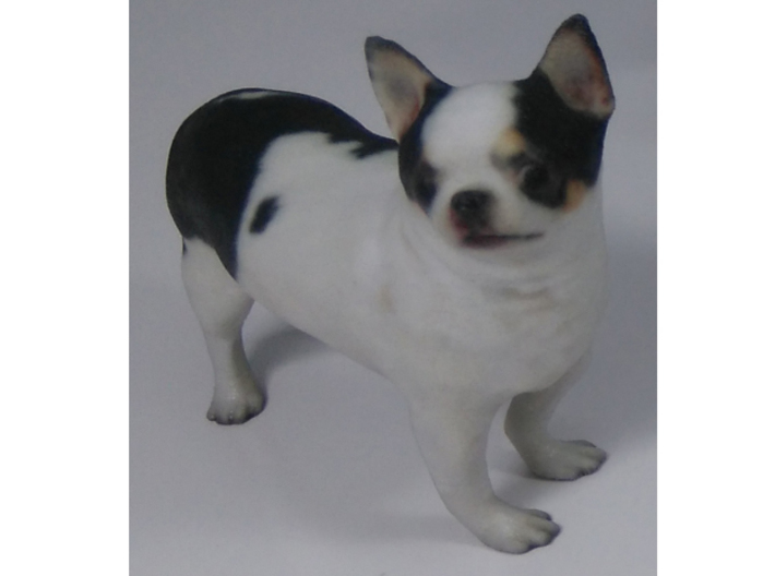 Scanned Chihuahua Dog -890 3d printed 
