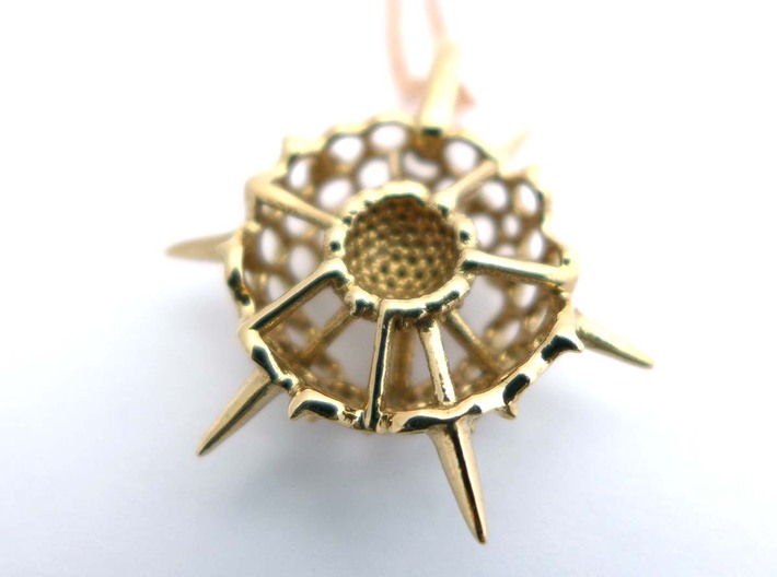 Small Spumellaria Pendant - Science Jewelry 3d printed Reverse side, polished bronze
