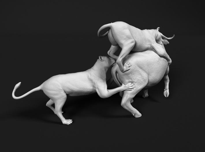 Cape Buffalo 1:9 Attacked by Lions 3d printed 