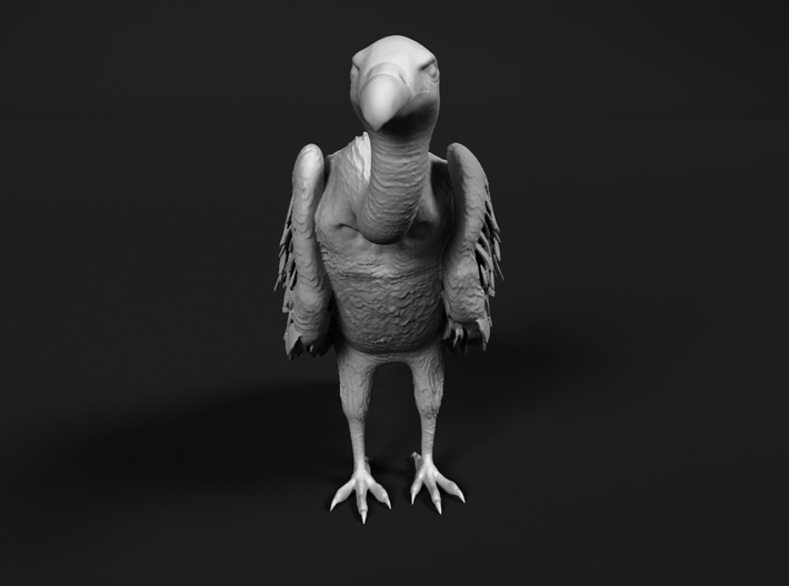 White-Backed Vulture 1:6 Standing 3 3d printed 