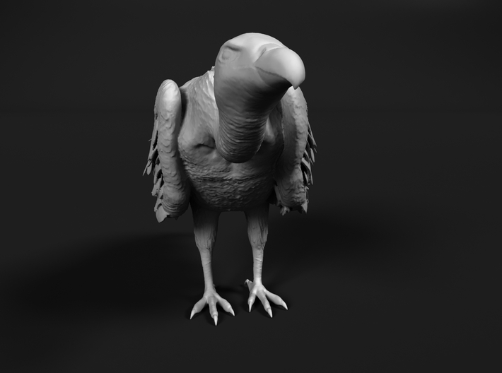 White-Backed Vulture 1:20 Standing 1 3d printed 