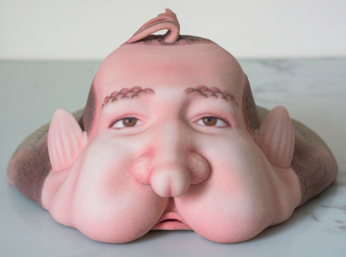 The Bottom Feeding Blobfish 3d printed A face only a mother....  well probably not even that.