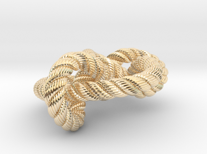 Miller institute knot (Rope with detail) 3d printed